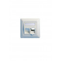 Lanview Plaque murale, inclinée, double sortie EURO blanche