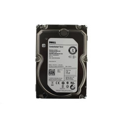 Dell HD 3T NL6 7.2K 3.5 S-MEG E/C (55H49)
