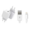 CoreParts USB Charger for iPhone & iPad 