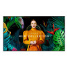 Samsung QH75C Digital signage flat