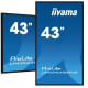 iiyama 43 3840x2160, UHD IPS panel, 