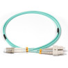 LENOVO DCG 1M LC-LC OM3 MMF CABLE (00MN502)
