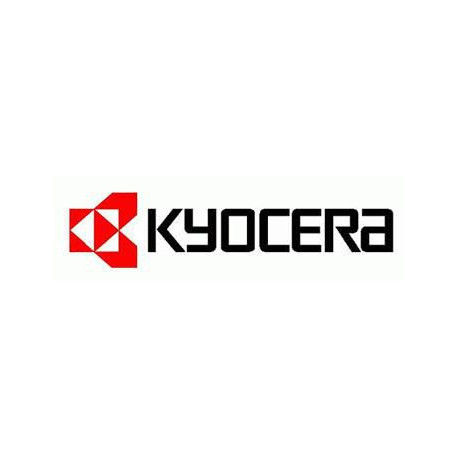 Kyocera Developer Unit (302J193010)