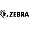 Zebra LABEL POLYESTER 50X30MM