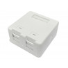 Lanview Boîtier de montage en surface pour 2 prises RJ45