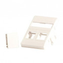 Lanview Plaque murale 2 x keystone pour sortie Clickline 50 x 75 mm blanche