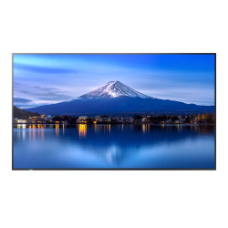 Sharp/NEC P556, 55 P-Series LFD, UHD 