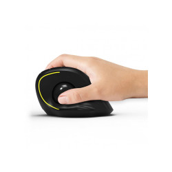 Port Designs Mouse Right-Hand Rf Wireless 