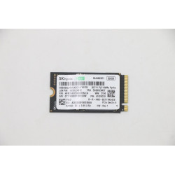 Lenovo SSD_ASM 256G M.2 2242 PCIe3x4 