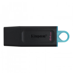 Kingston Technology DataTraveler (DTX/64GB)