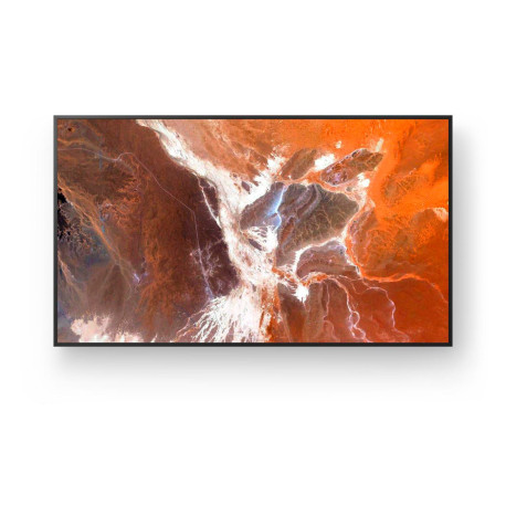 Sony 65 FW-65BZ30P Pro BRAVIA 