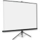 ORAY Byron 2 projection screen 1:1 