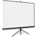 ORAY Byron 2 projection screen 1:1 