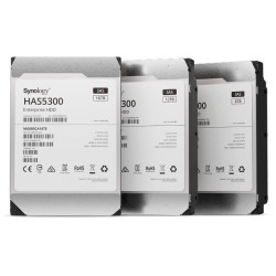 Synology 3.5 SAS HDD HAS5300 12 TB (HAS5300-12T)