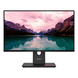 Lenovo ThinkVision T24-40 LED 
