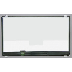 CoreParts 17,3 LCD FHD Matte (MSC173F30-120M)