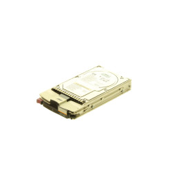 HP 146GB 10K FC HDD w/caddy (300590-001)