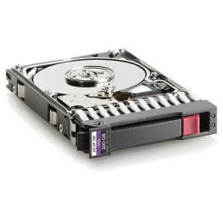 Hewlett Packard Enterprise 300 Gb SAS 10.000Rpm 2.5 Inch (666355-001)