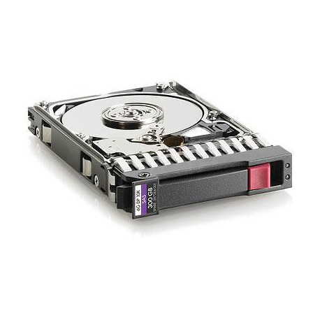 Hewlett Packard Enterprise 300 Gb SAS 10.000Rpm 2.5 Inch (666355-001)
