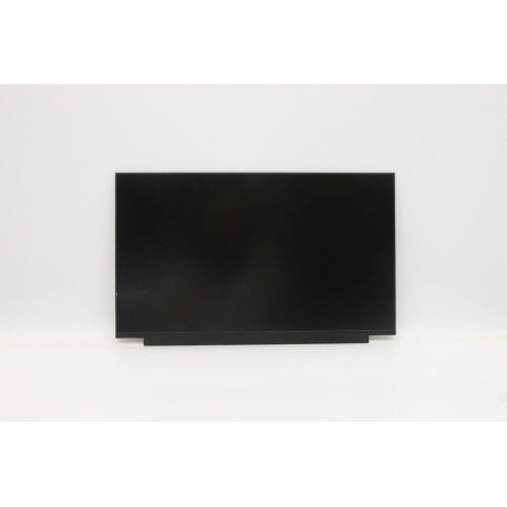 Lenovo FRU 15.6 WQHD 165hz 6ms 