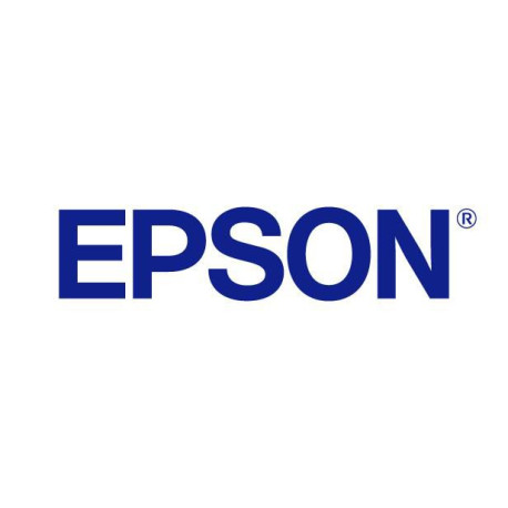 Epson WF-(R)8XXX SERIES (C13S990011)