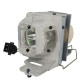 Acer Lamp (MC.JPC11.002)