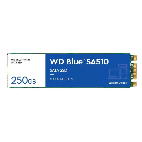Western Digital Blue Sa510 250 Gb M.2 Serial 