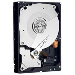 Dell HD 3T NL6 7.2K 3.5 S-MR-2 E/C (09JYJ)