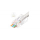 MicroConnect Modular EZ Plug RJ45 8P8C CAT6 (KON505-50EZ)