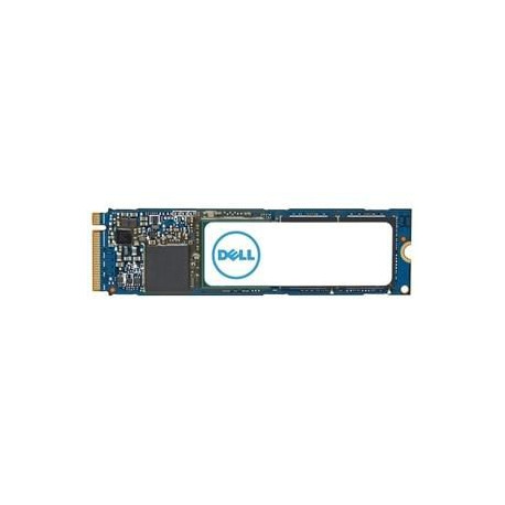 Dell Internal Solid State Drive 