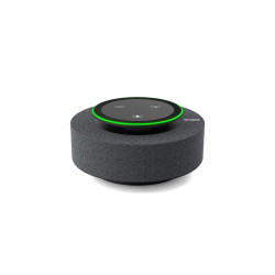 Yealink Video Conferencing - MSpeech 