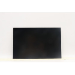 Lenovo 14.0-inch WUXGA IPS display 