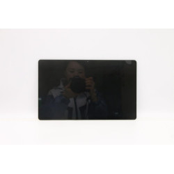 Lenovo LCD Module H 82QS SDC+Laibao (5D10S39728)