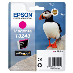 Epson Cartouche d'encre Magenta C13T32434010 HI-GLOSS T3243 PUFFIN