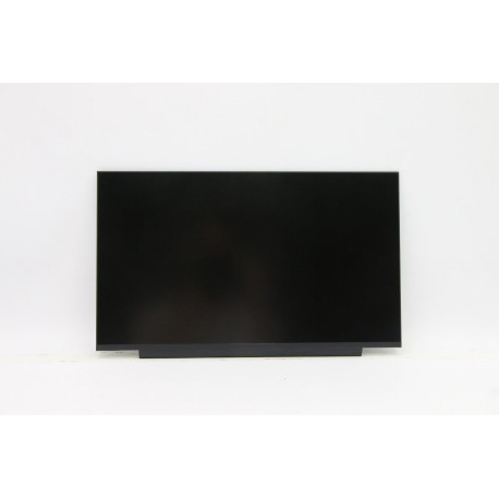 Lenovo 14.0-inch ePrivacy flat 