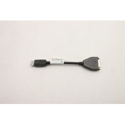 Lenovo CABLE DP to DVI Dongle 