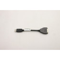 Lenovo CABLE DP to DVI Dongle 