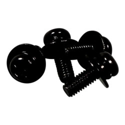 Sony Bag Screw Assembly (455833001)