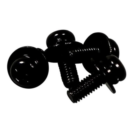 Sony Bag Screw Assembly (455833001)