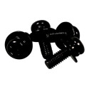 Sony Bag Screw Assembly (455833001)