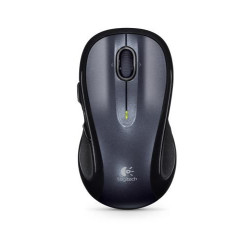 Logitech M510 souris Droitier RF sans fil Optique 1000 DPI 910-001822