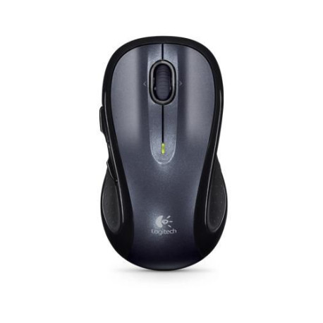 Logitech M510 souris Droitier RF sans fil Optique 1000 DPI 910-001822