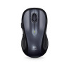 Logitech M510 souris Droitier RF sans fil Optique 1000 DPI 910-001822