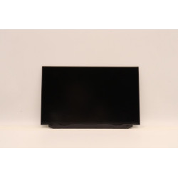 Lenovo Display (00NY418)