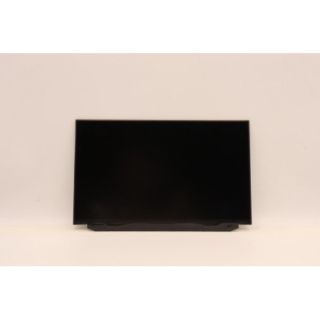 Lenovo Display (00NY418)