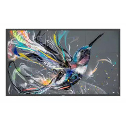 Philips 65 Q-Line - UHD, 18/7 (L/P), 