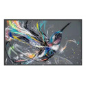 Philips 65" Q-Line - UHD, 18/7 (L/P), CMND & Control