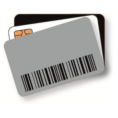 Zebra Card, PVC, MIFARE® 1K Classic (800059-304)