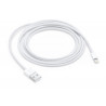 Apple LIGHTNING TO USB CABLE 2M (MD819ZM/A)