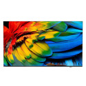 Philips IPTV,50 Media Suite, 4K UHD, 